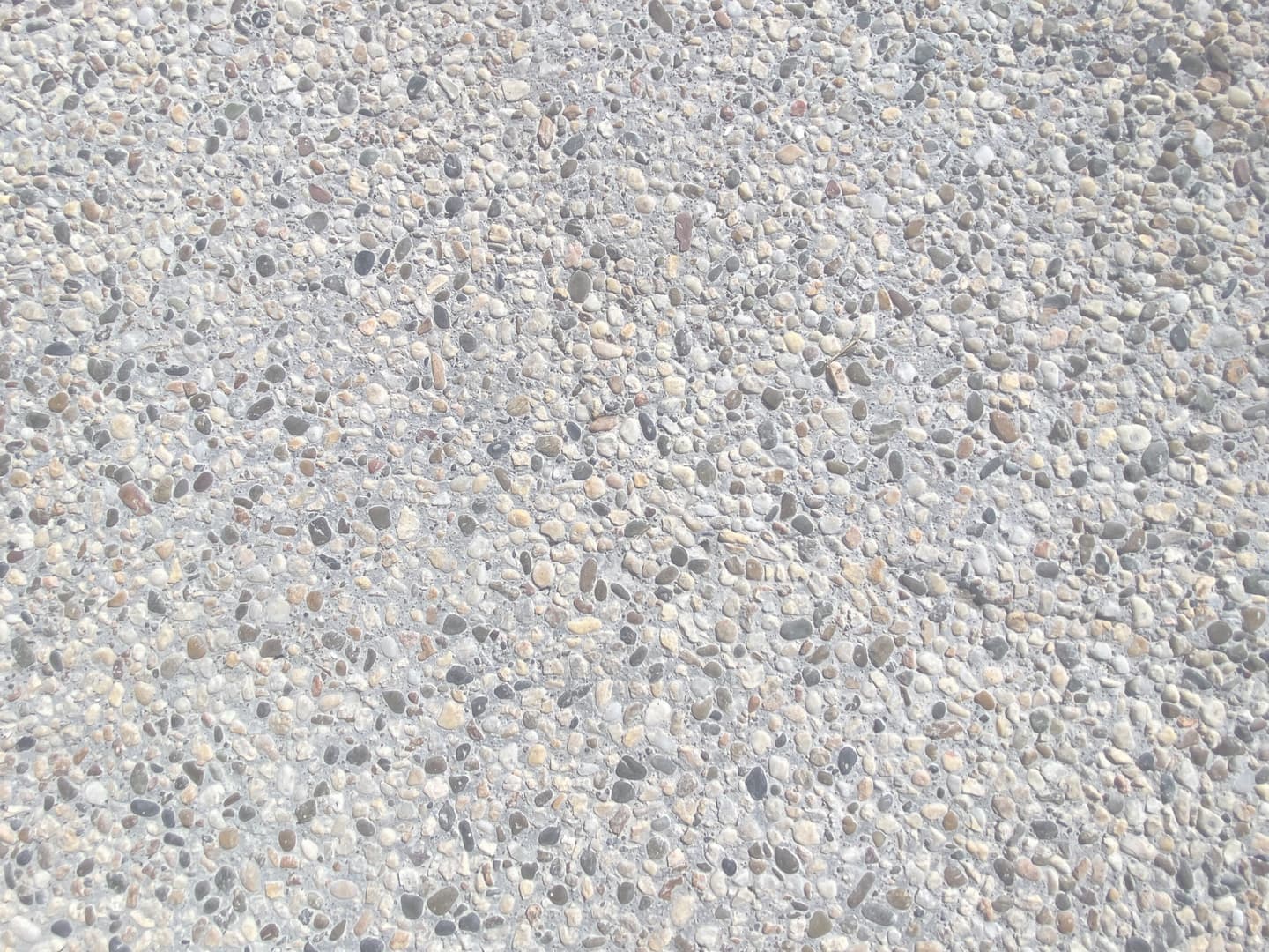 大前公園_湘南ロックガーデン