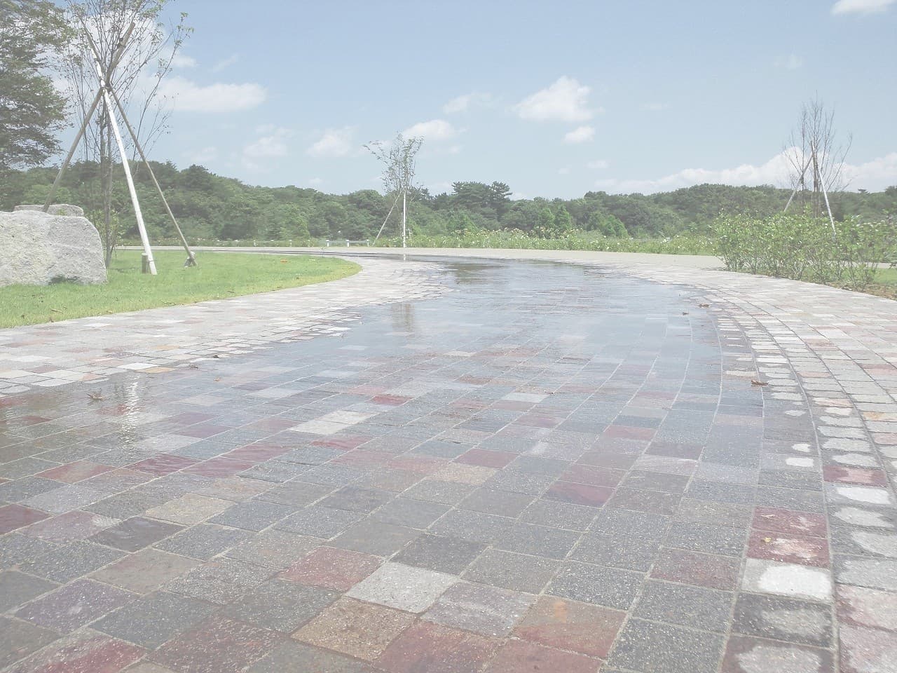 アンデルセン公園拡張部_湘南ロックガーデン