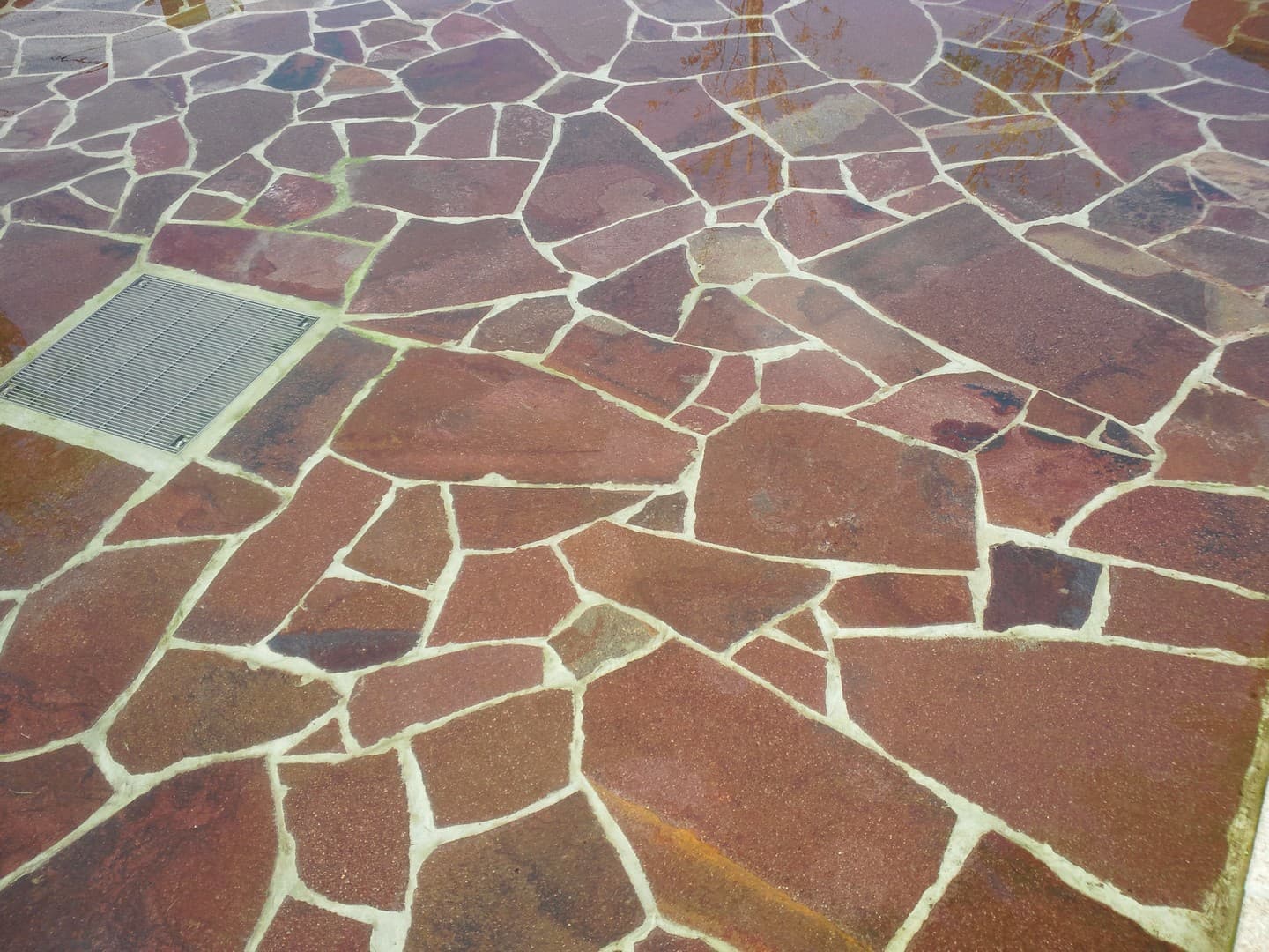 野火止用水公園_湘南ロックガーデン