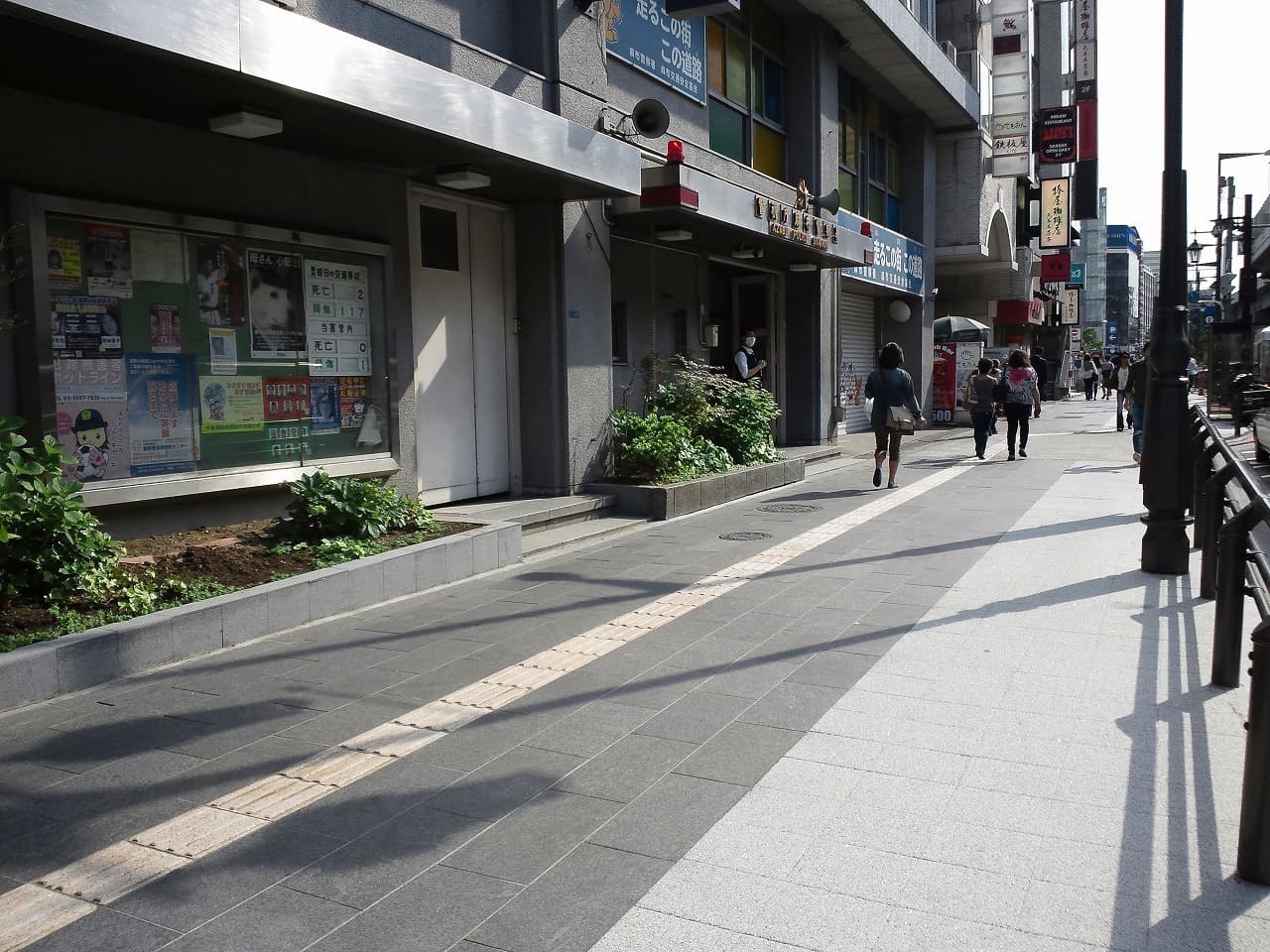 六本木通り(23-その2)_湘南ロックガーデン