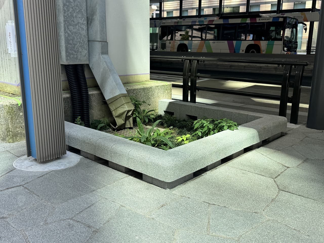 停留施設上屋建築_湘南ロックガーデン