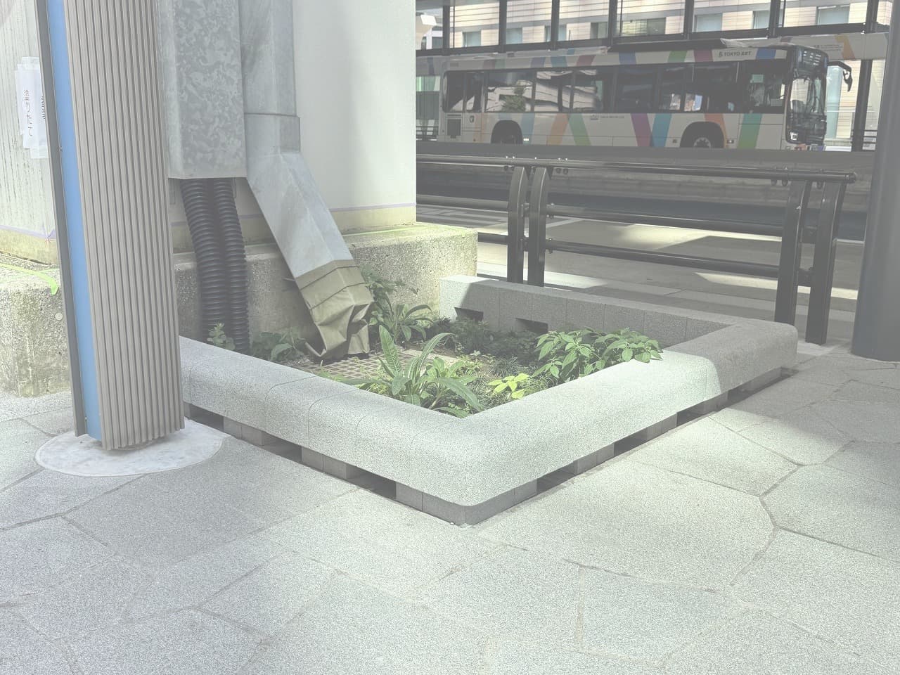 停留施設上屋建築_湘南ロックガーデン