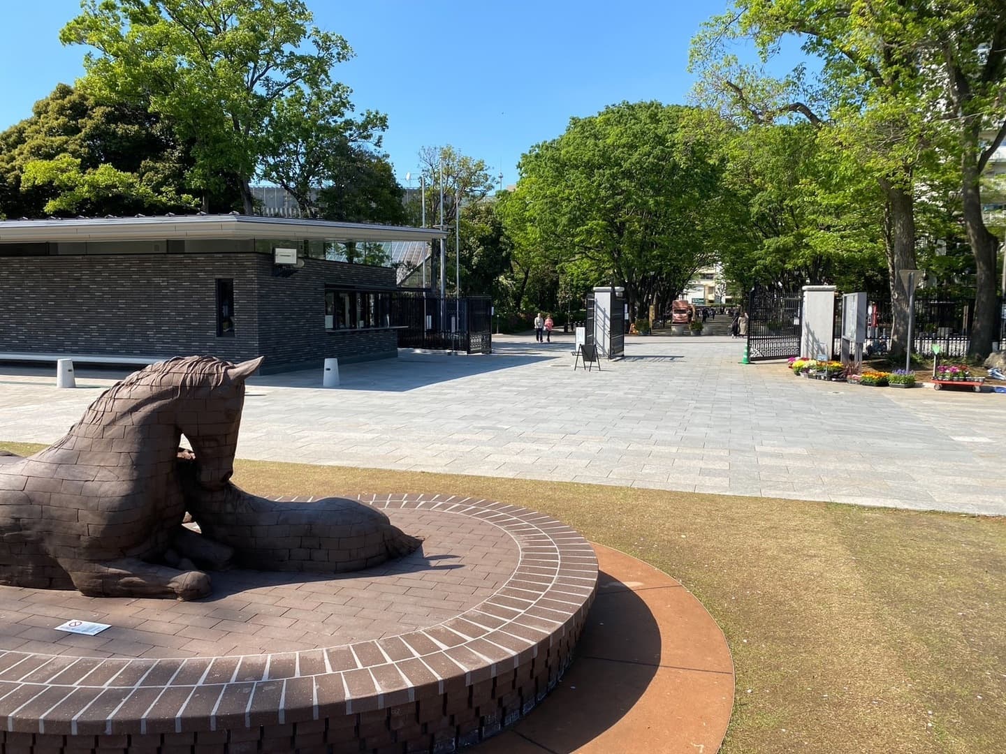 馬事公苑外構_湘南ロックガーデン