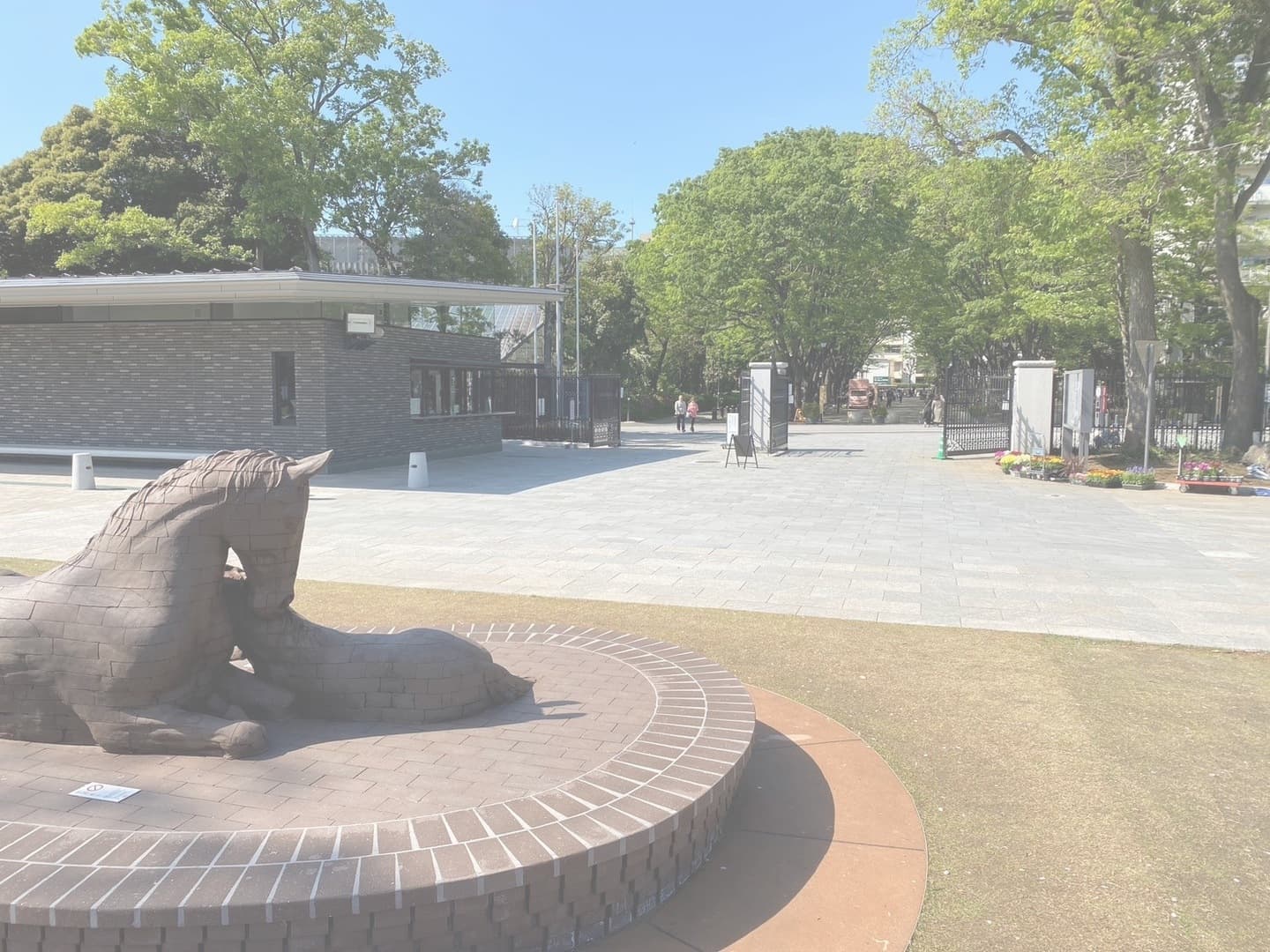 馬事公苑外構_湘南ロックガーデン