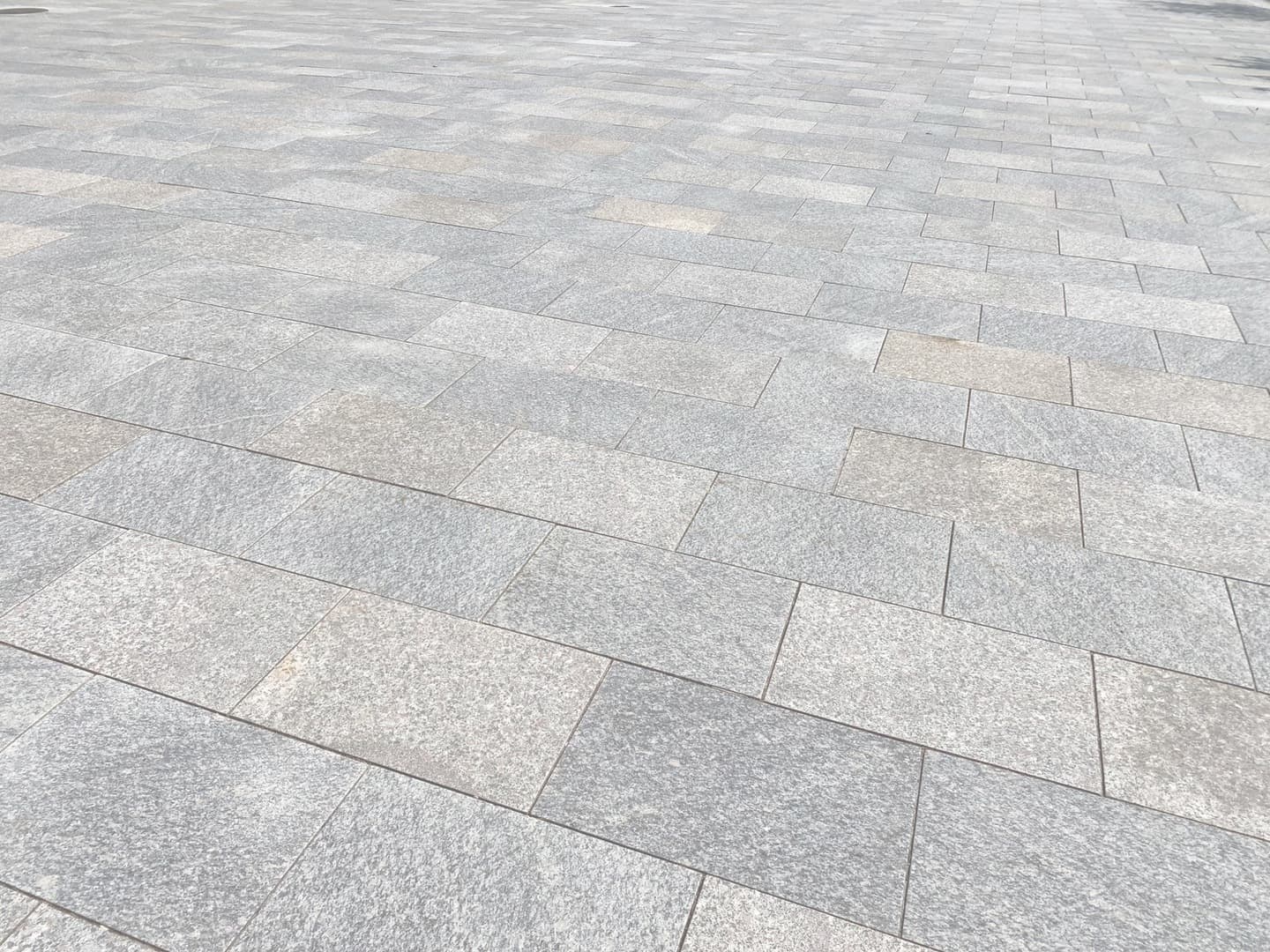 馬事公苑外構_湘南ロックガーデン