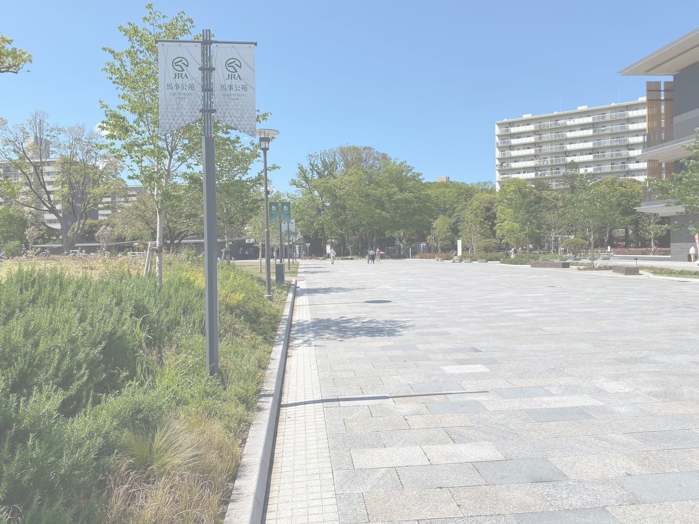 馬事公苑外構_湘南ロックガーデン