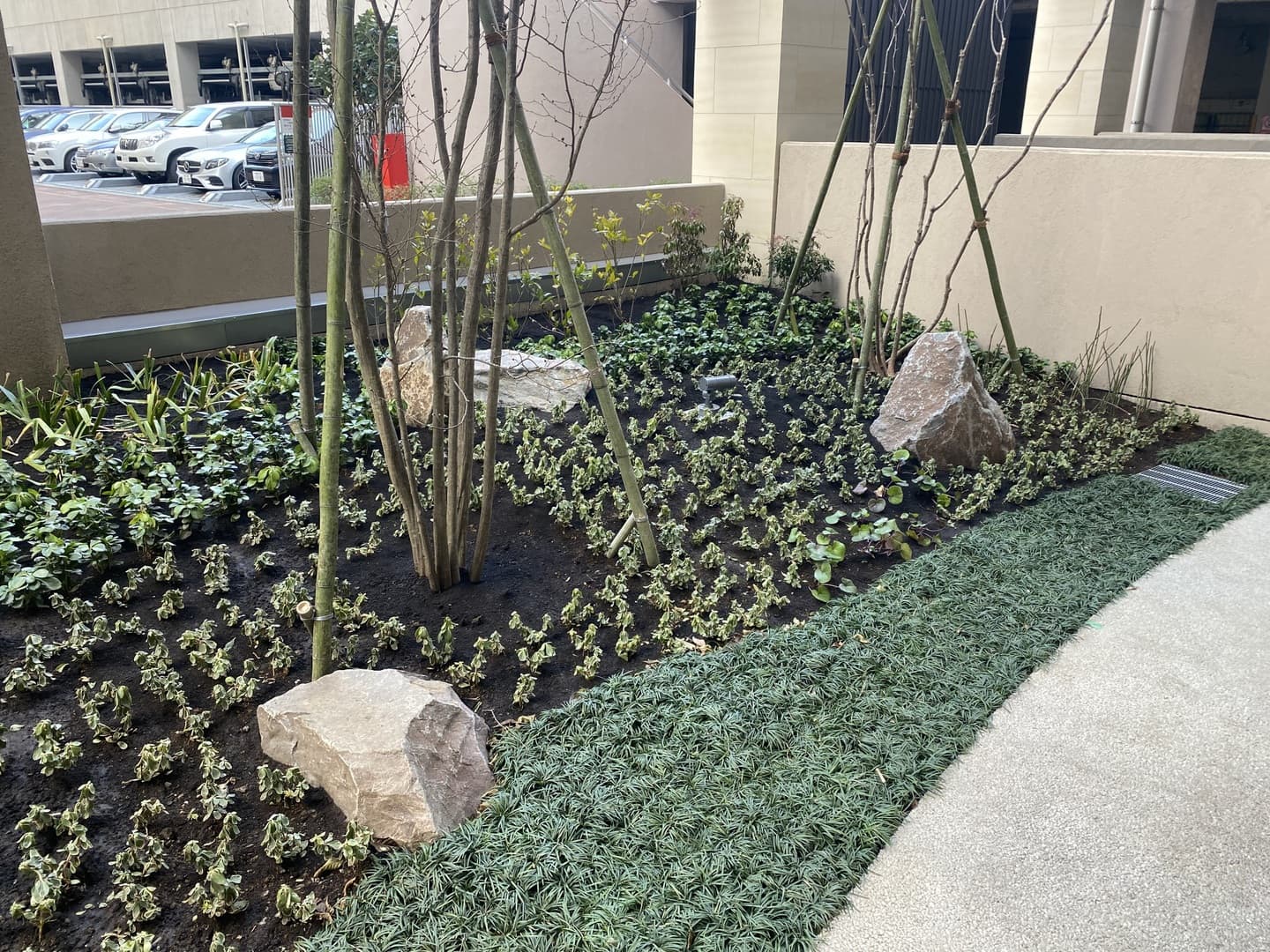 UR板橋ビュータワー_湘南ロックガーデン