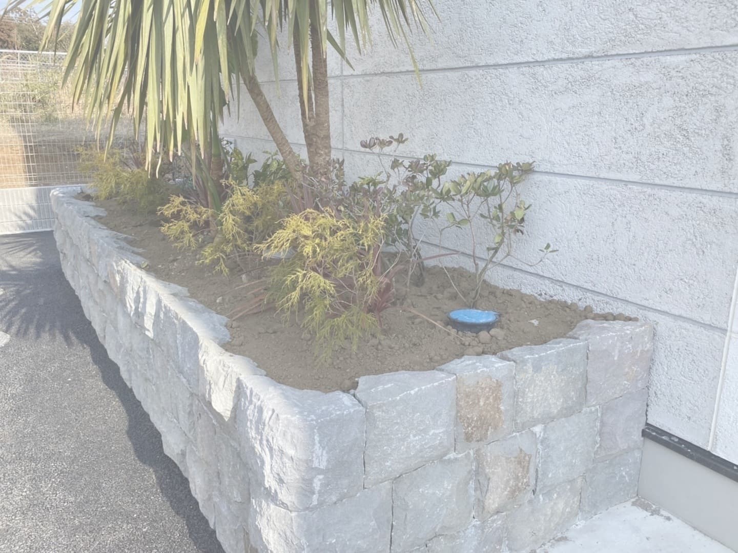 小松石雑割花壇_湘南ロックガーデン