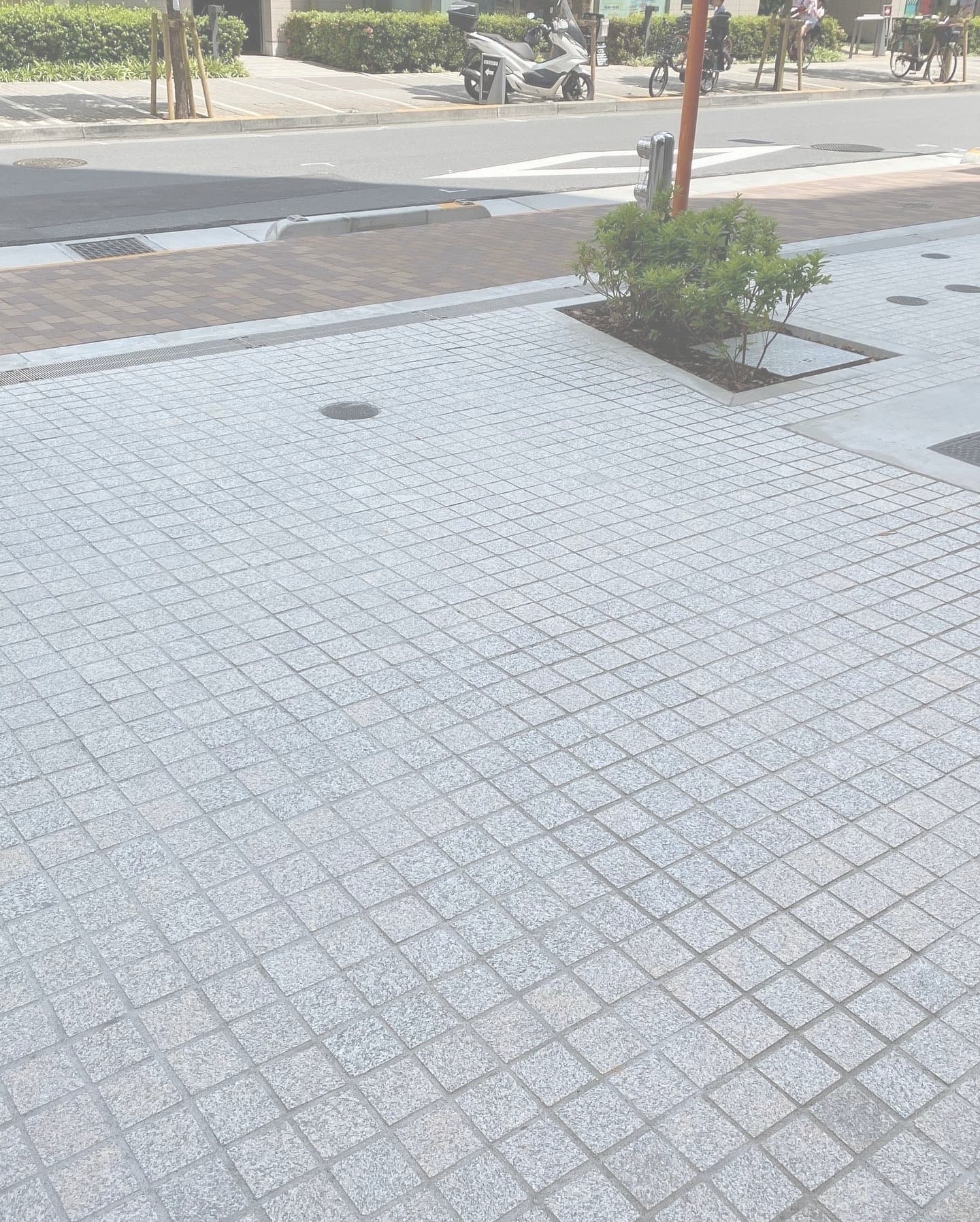 共同住宅外構_湘南ロックガーデン