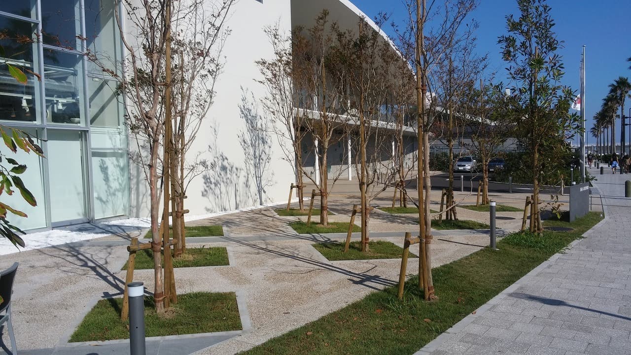 江の島ヨット_湘南ロックガーデン