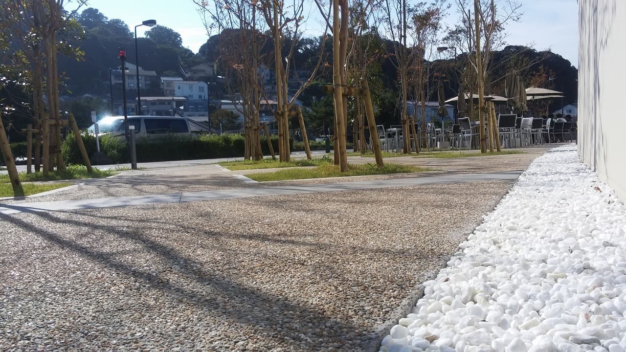 江の島ヨット_湘南ロックガーデン