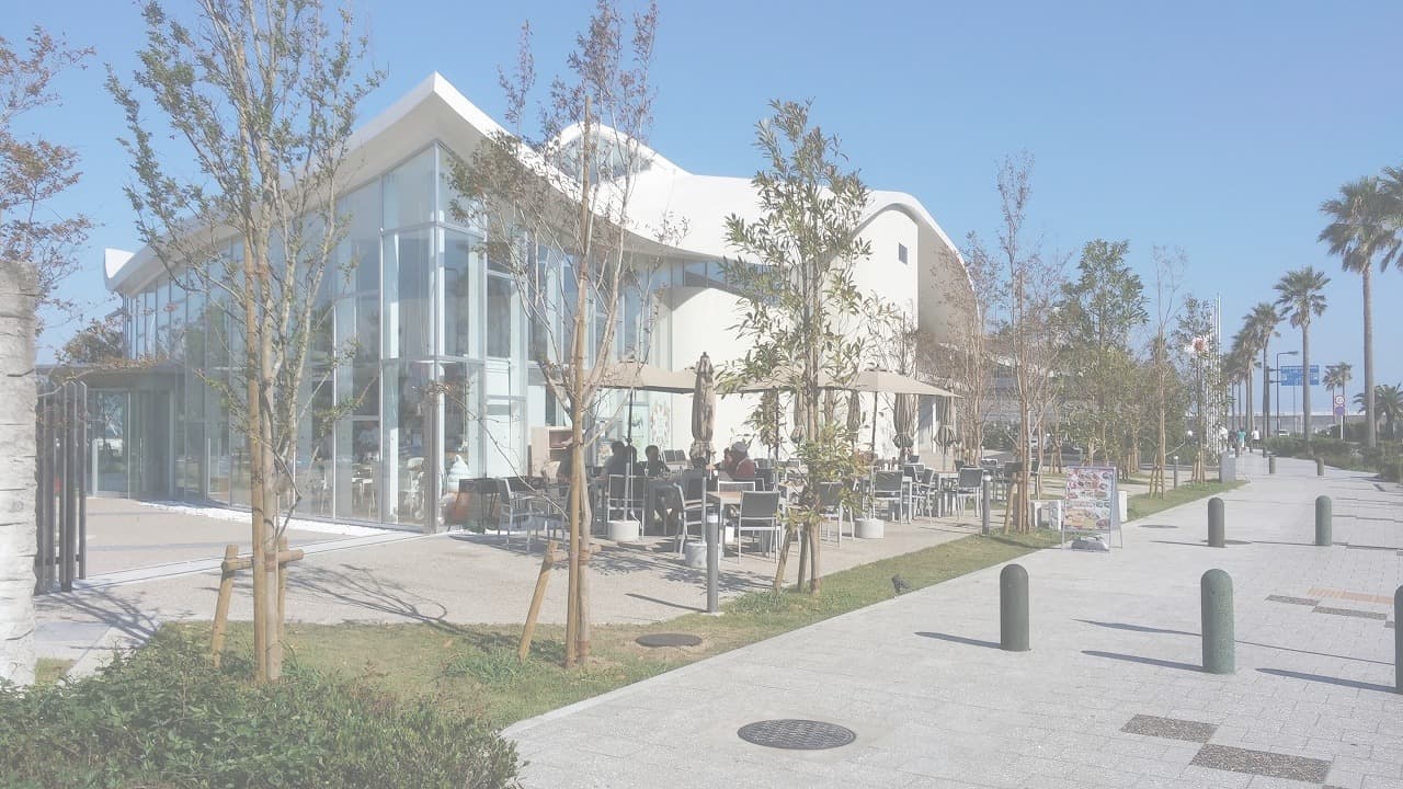 江の島ヨット_湘南ロックガーデン