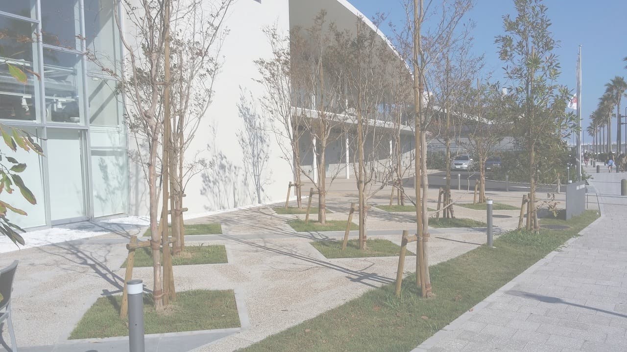 江の島ヨット_湘南ロックガーデン