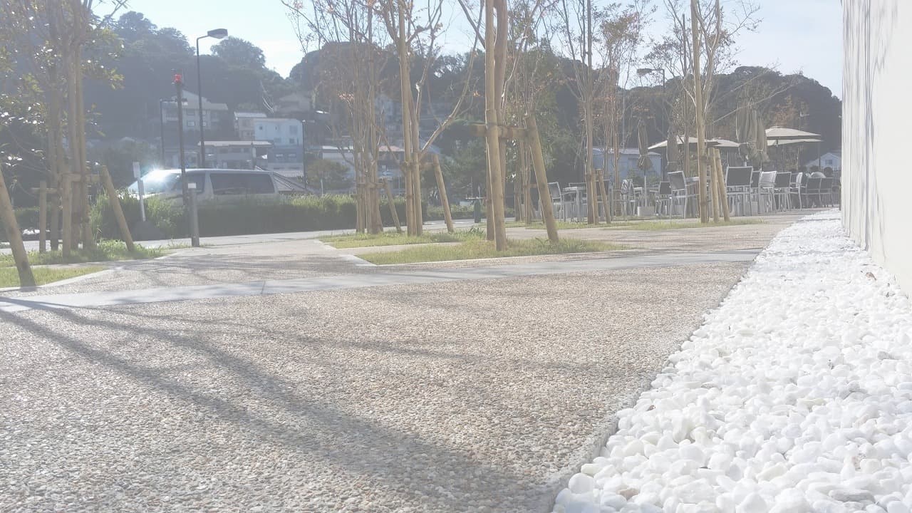 江の島ヨット_湘南ロックガーデン