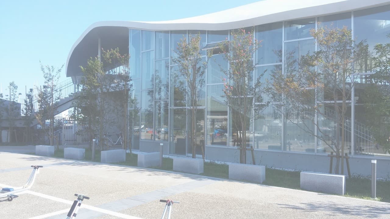 江の島ヨット_湘南ロックガーデン