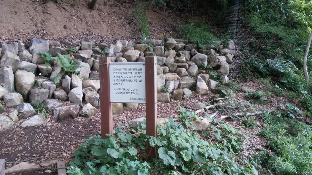 旧河原家_湘南ロックガーデン