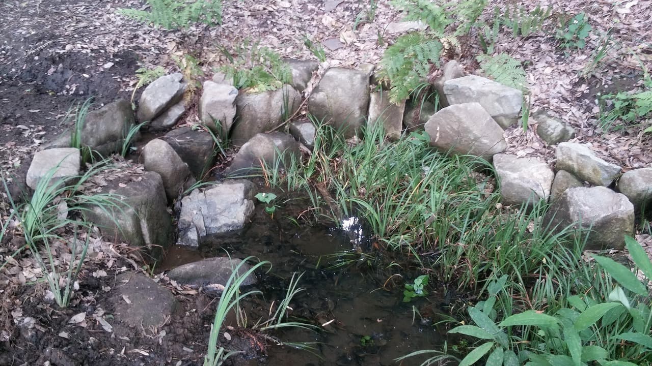 旧河原家_湘南ロックガーデン旧河原家_湘南ロックガーデン