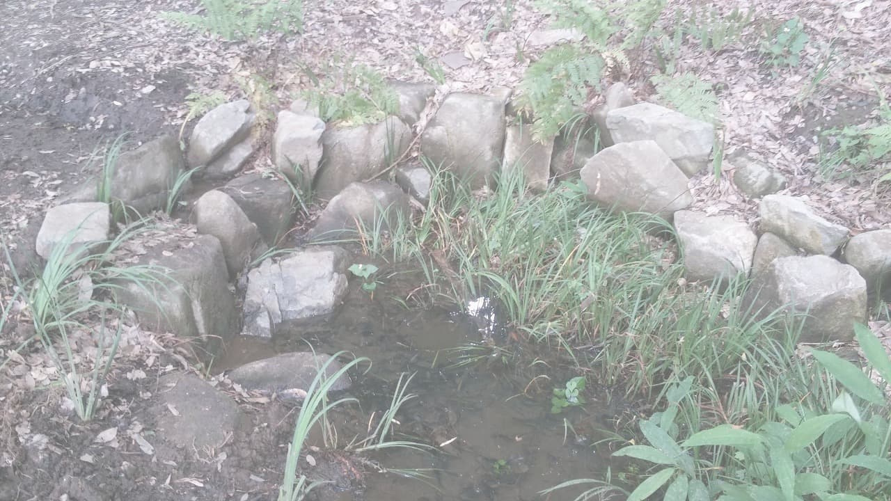 旧河原家_湘南ロックガーデン旧河原家_湘南ロックガーデン