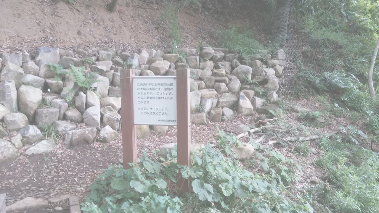 旧河原家_湘南ロックガーデン