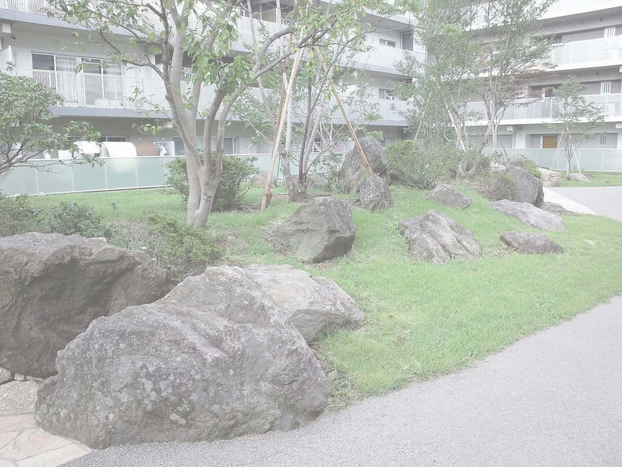 荻窪団地_湘南ロックガーデン