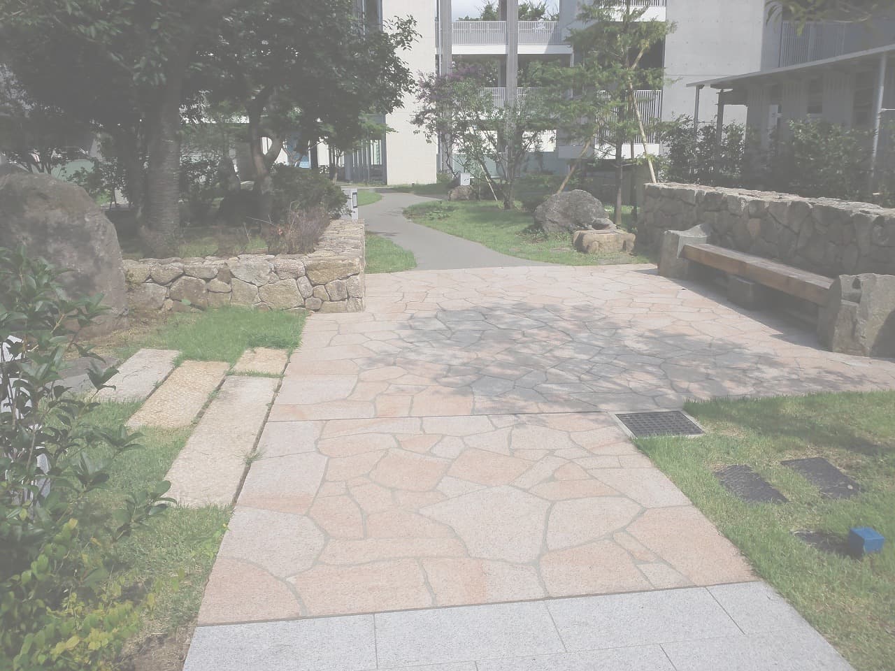 荻窪団地_湘南ロックガーデン