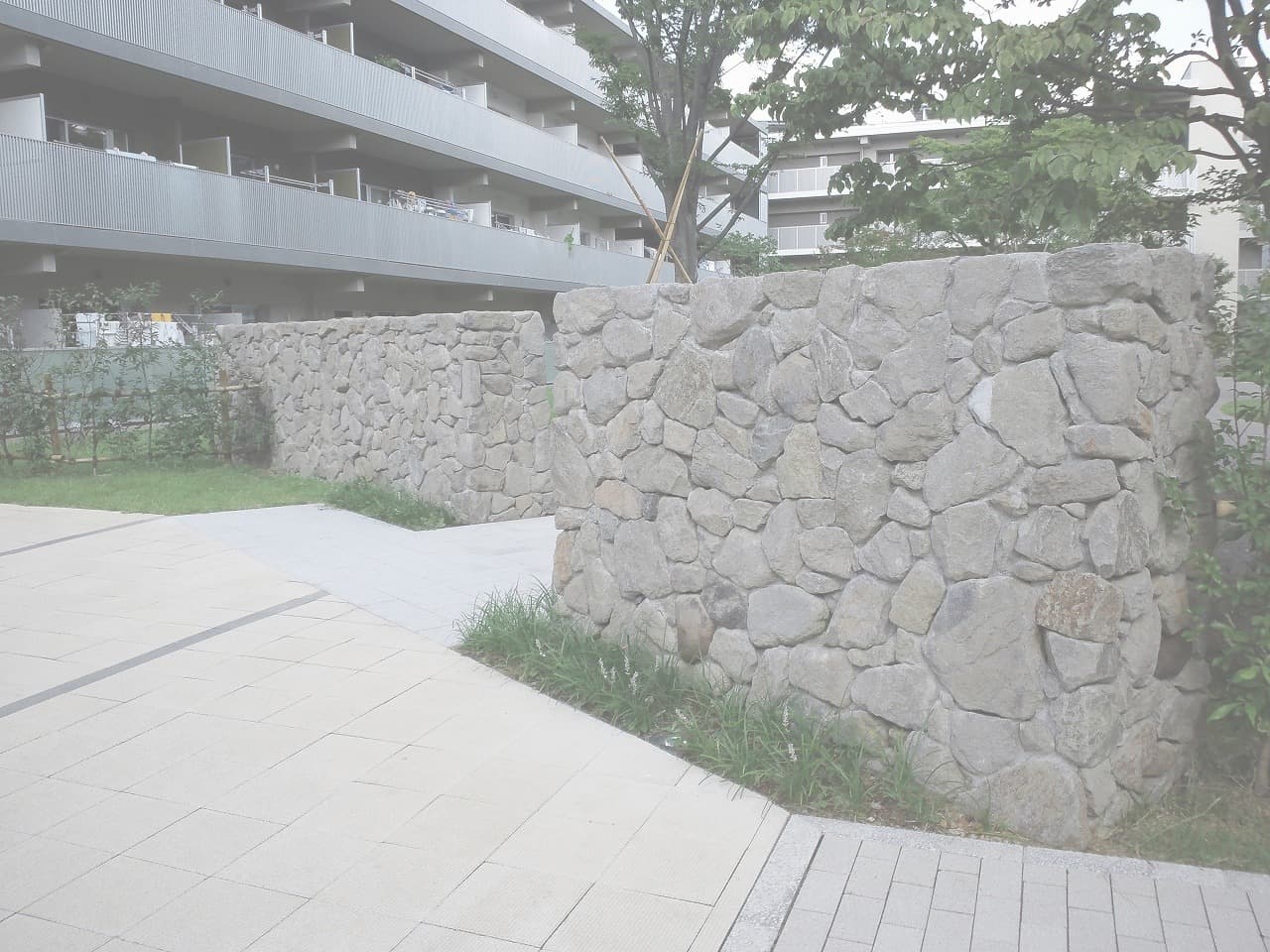 荻窪団地_湘南ロックガーデン