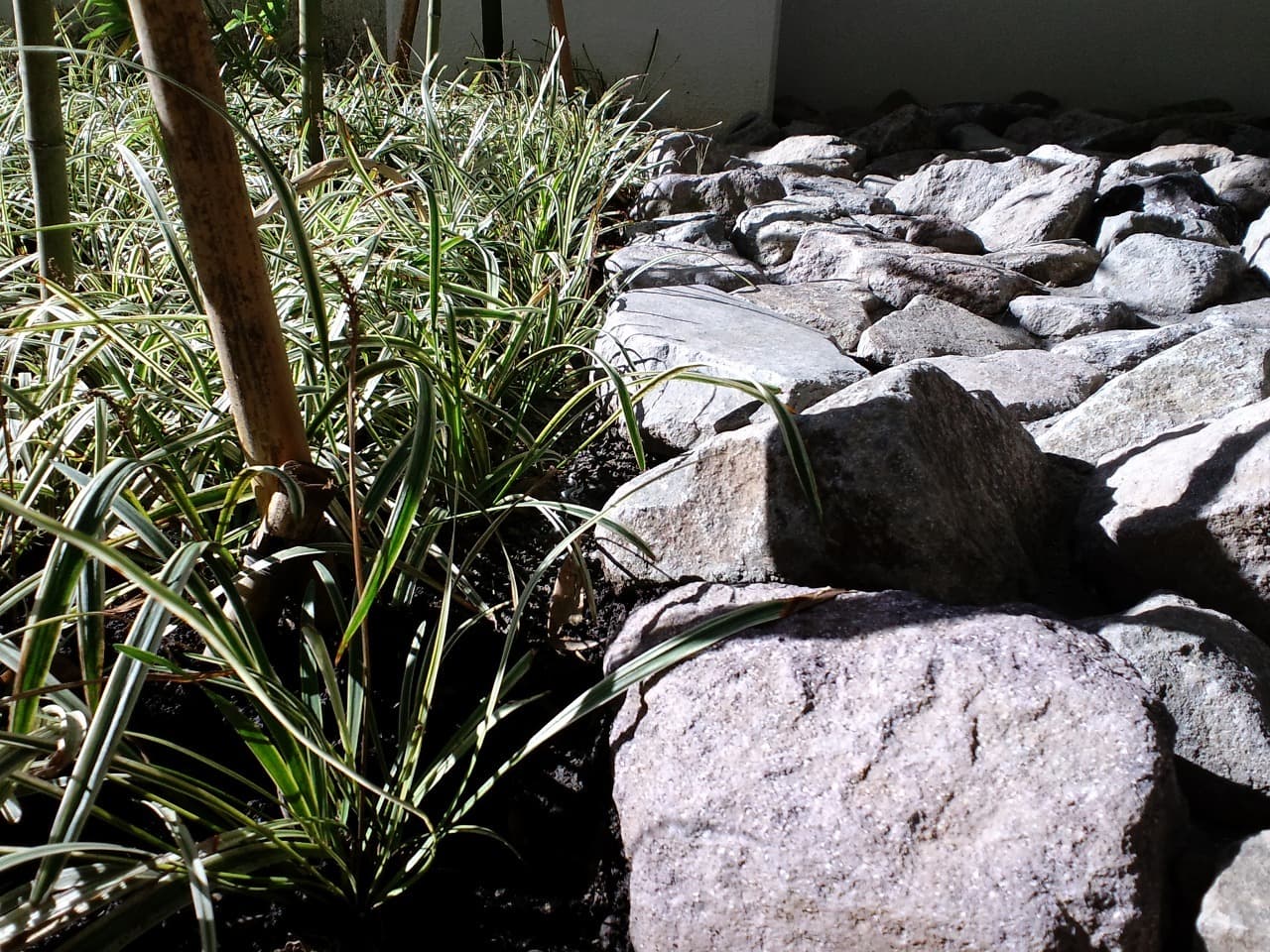 赤羽団地_湘南ロックガーデン