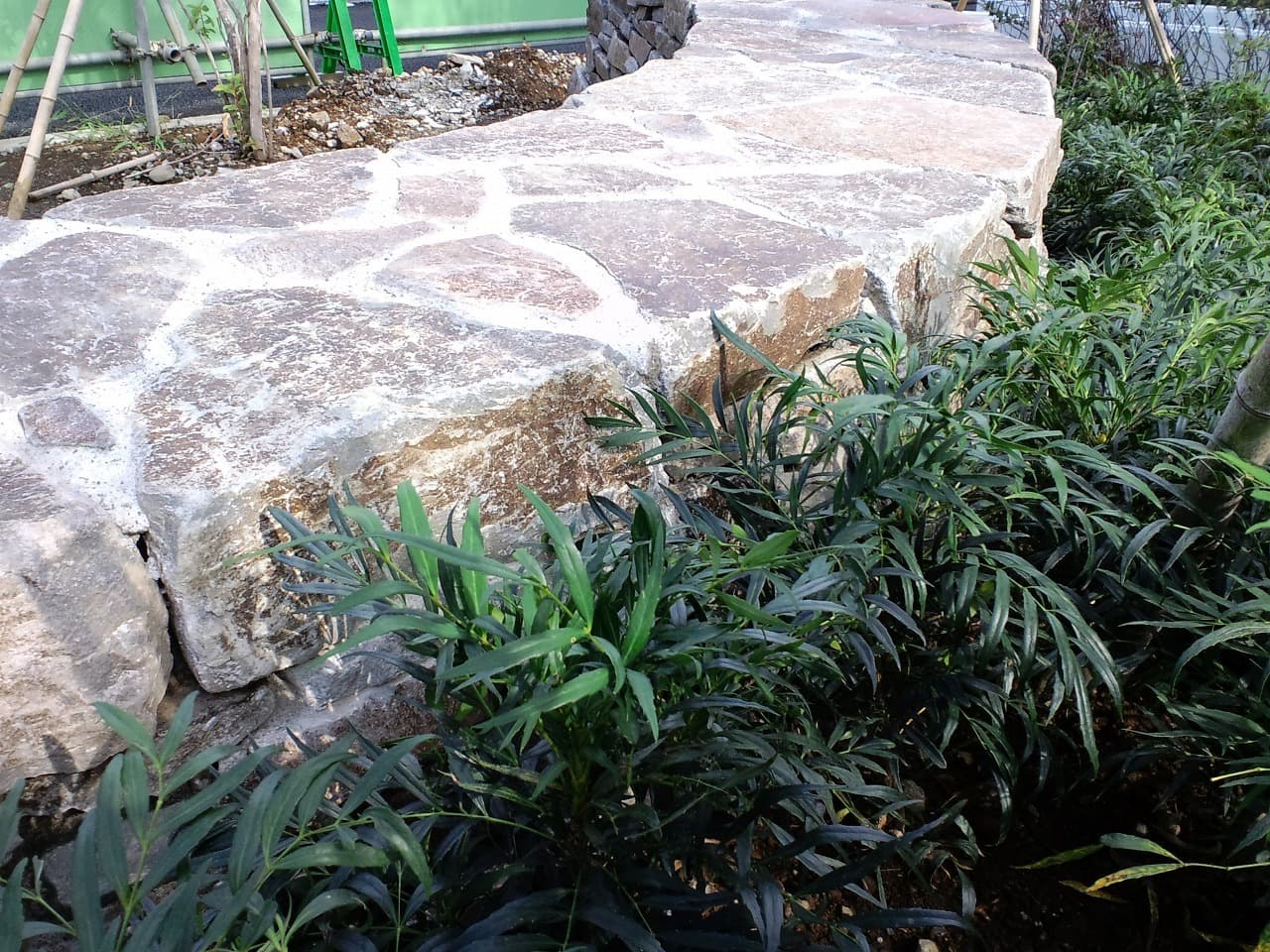 赤羽団地_湘南ロックガーデン