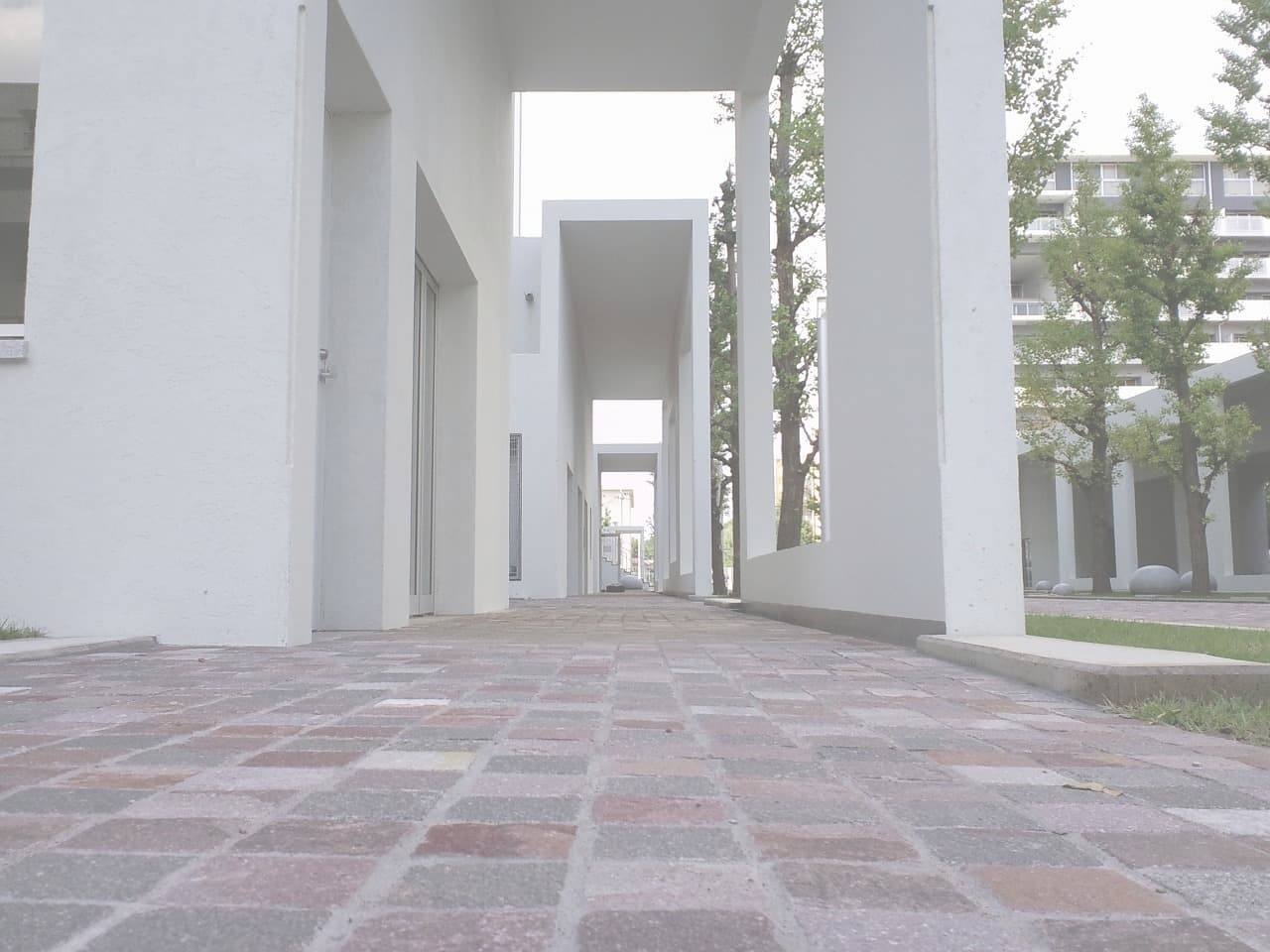 赤羽団地_湘南ロックガーデン