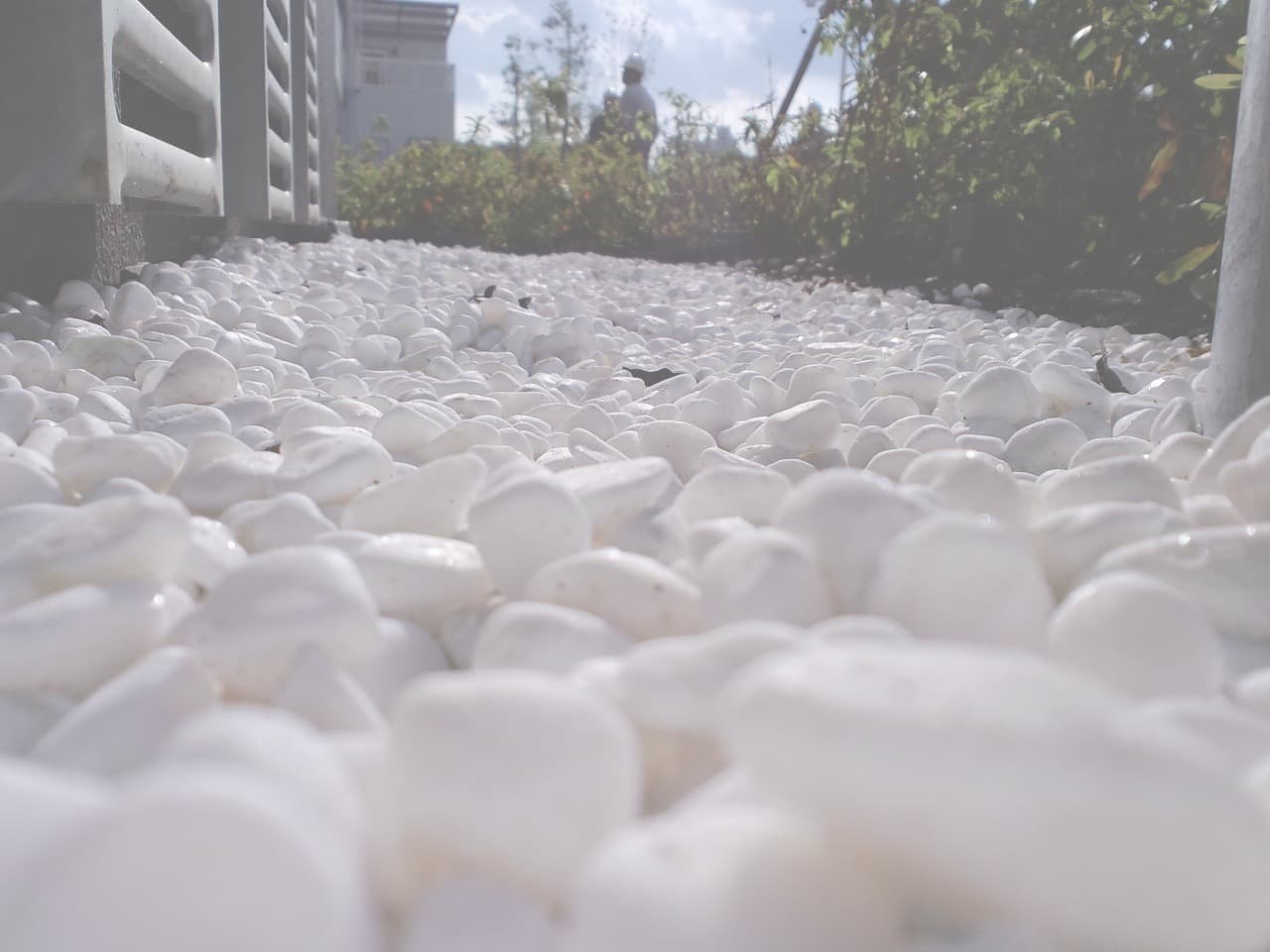 赤羽団地_湘南ロックガーデン