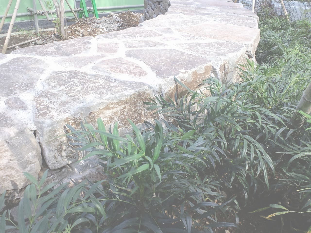 赤羽団地_湘南ロックガーデン