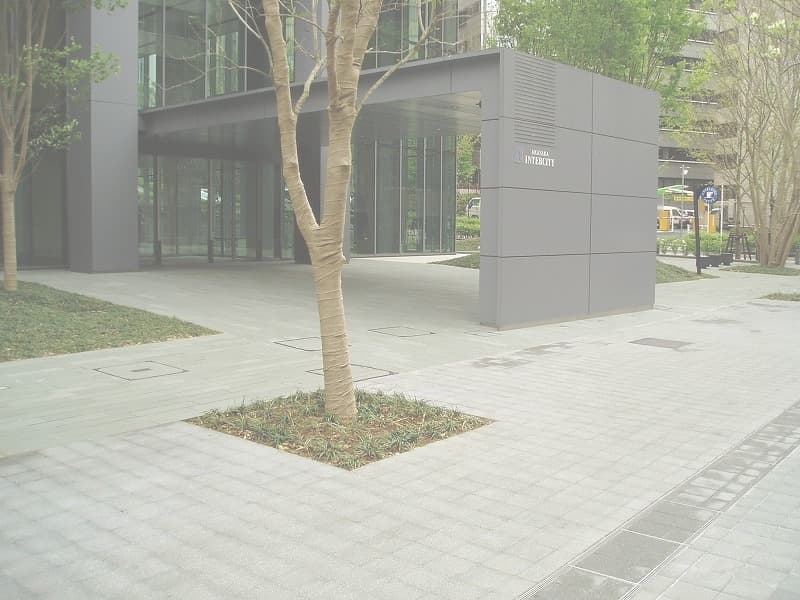 赤坂一丁目計画_湘南ロックガーデン