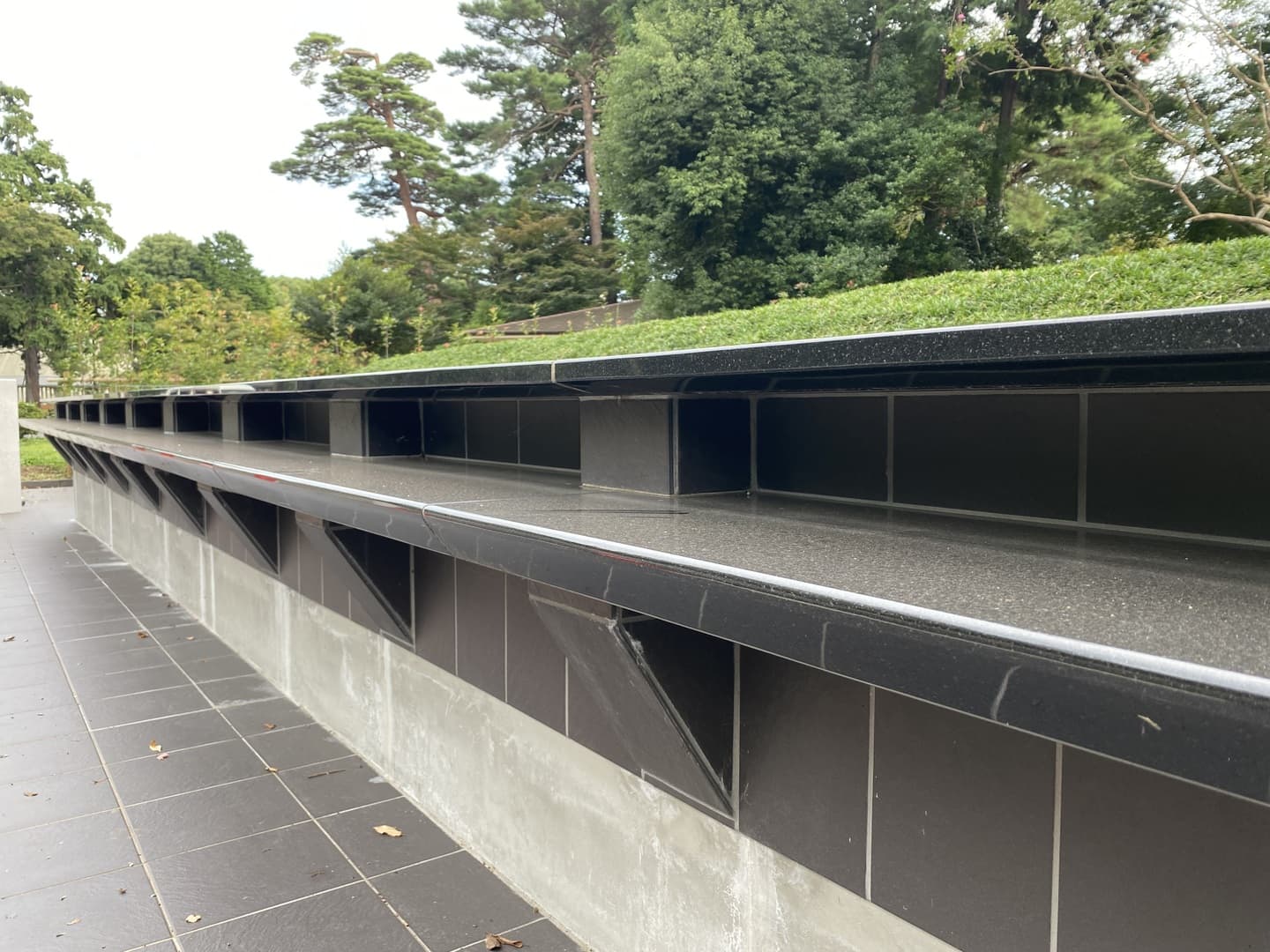 多磨霊園_湘南ロックガーデン