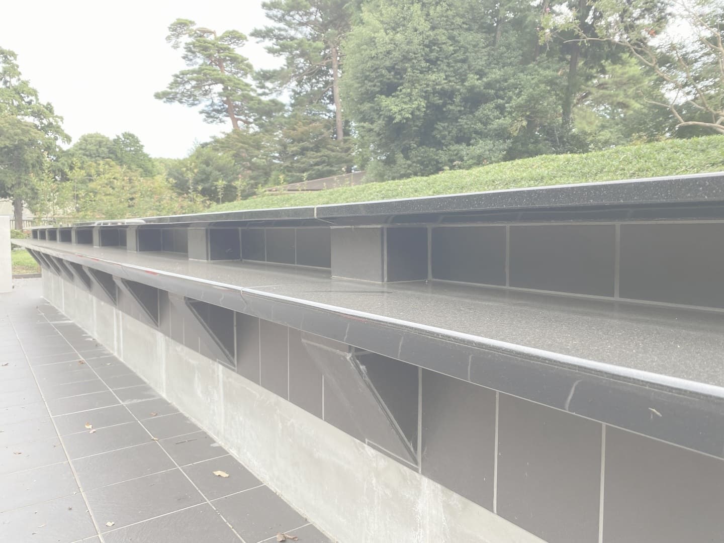 多磨霊園_湘南ロックガーデン