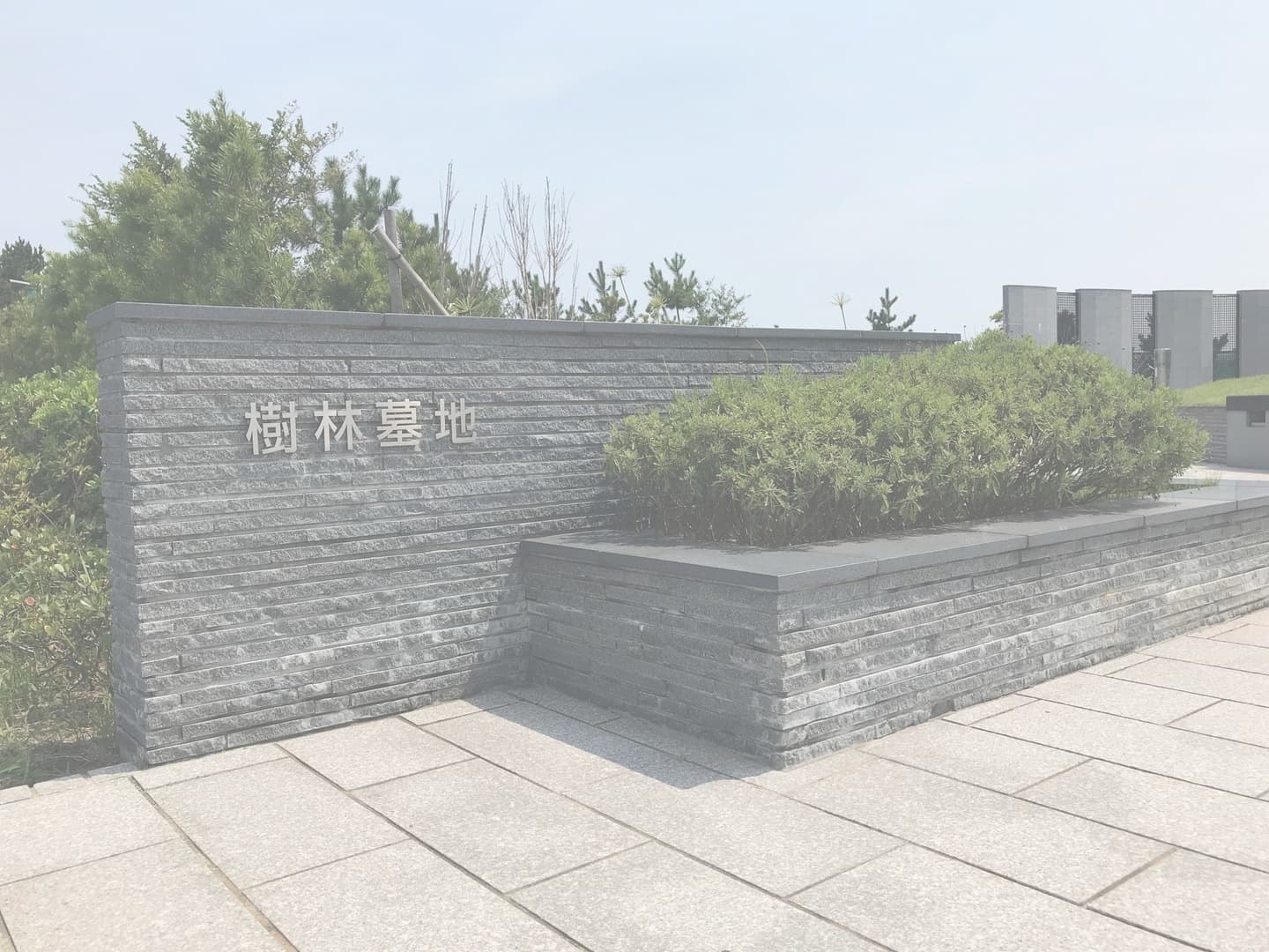 浦安墓地公園/樹林墓地_湘南ロックガーデン