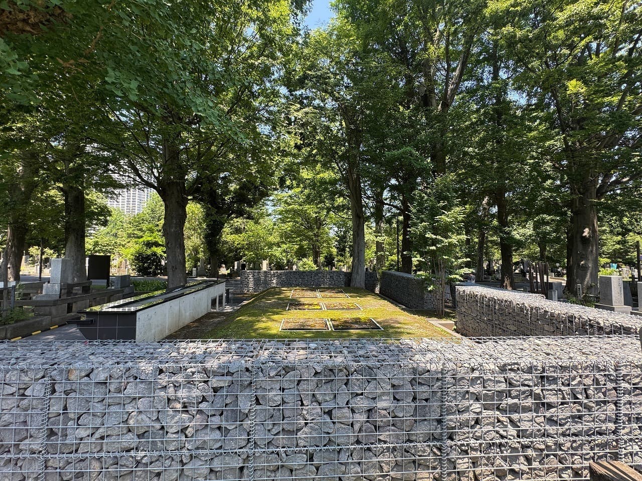 雑司ヶ谷霊園_湘南ロックガーデン