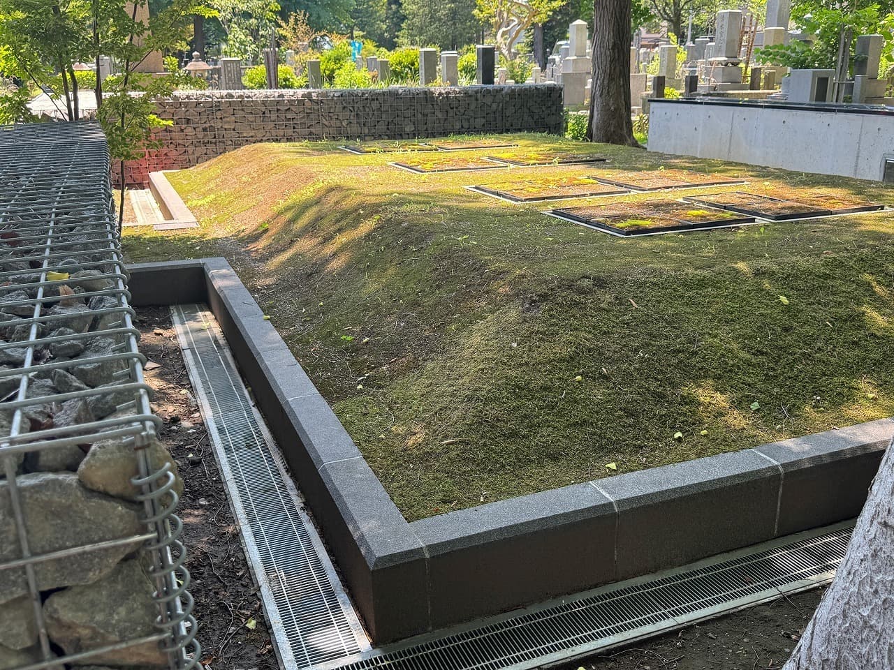 雑司ヶ谷霊園_湘南ロックガーデン