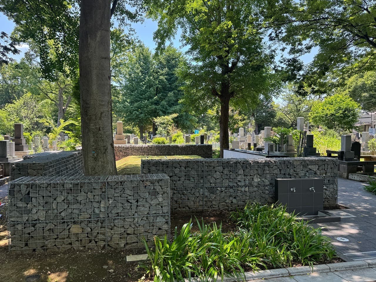 雑司ヶ谷霊園_湘南ロックガーデン