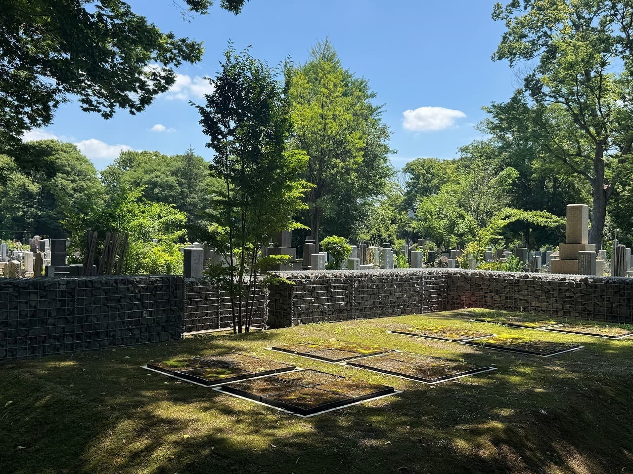 雑司ヶ谷霊園_湘南ロックガーデン