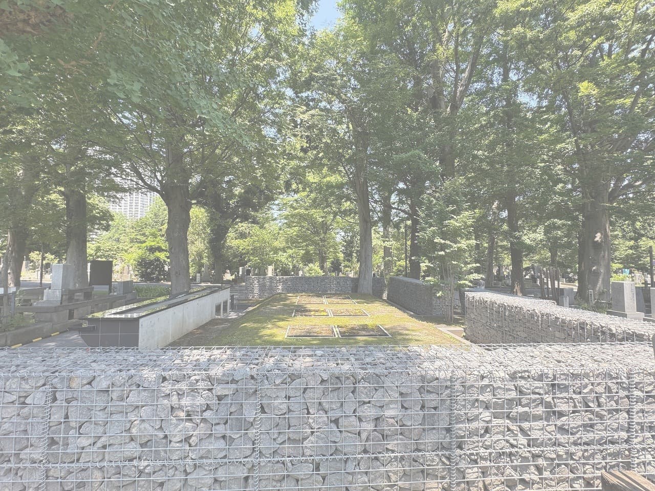 雑司ヶ谷霊園_湘南ロックガーデン