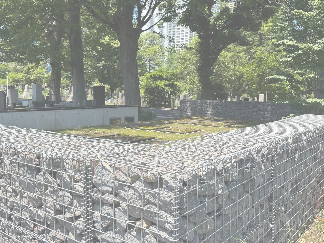 雑司ヶ谷霊園_湘南ロックガーデン