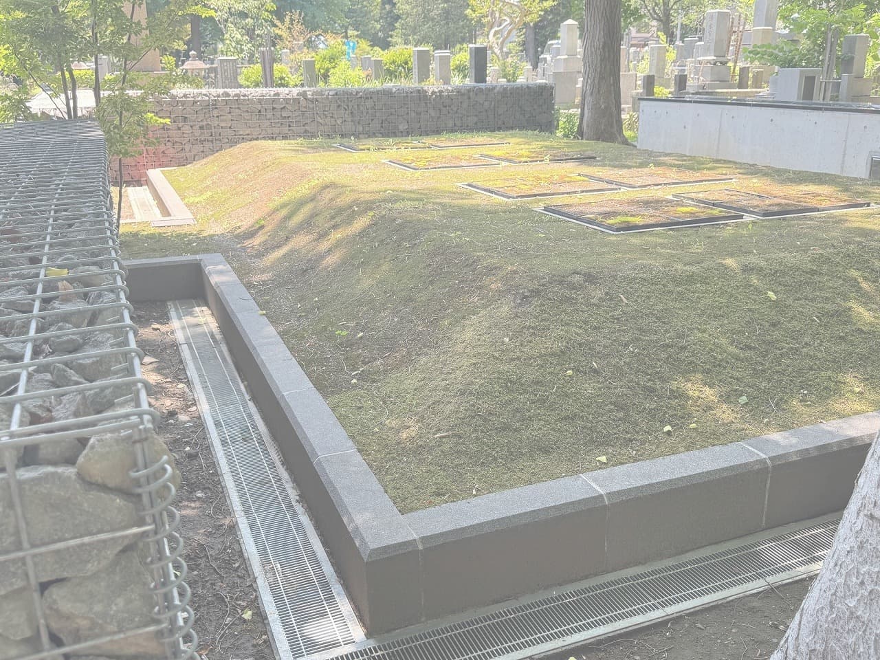 雑司ヶ谷霊園_湘南ロックガーデン