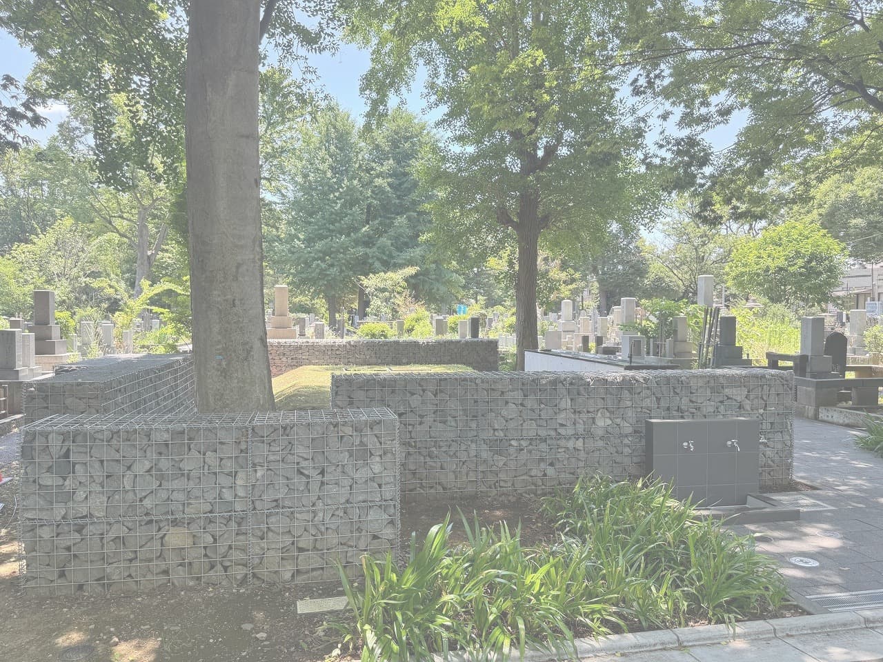 雑司ヶ谷霊園_湘南ロックガーデン