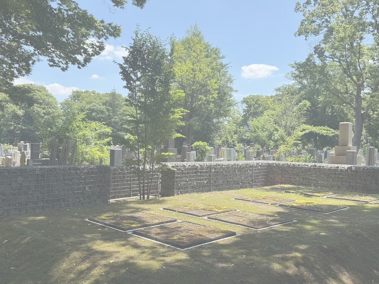 雑司ヶ谷霊園_湘南ロックガーデン