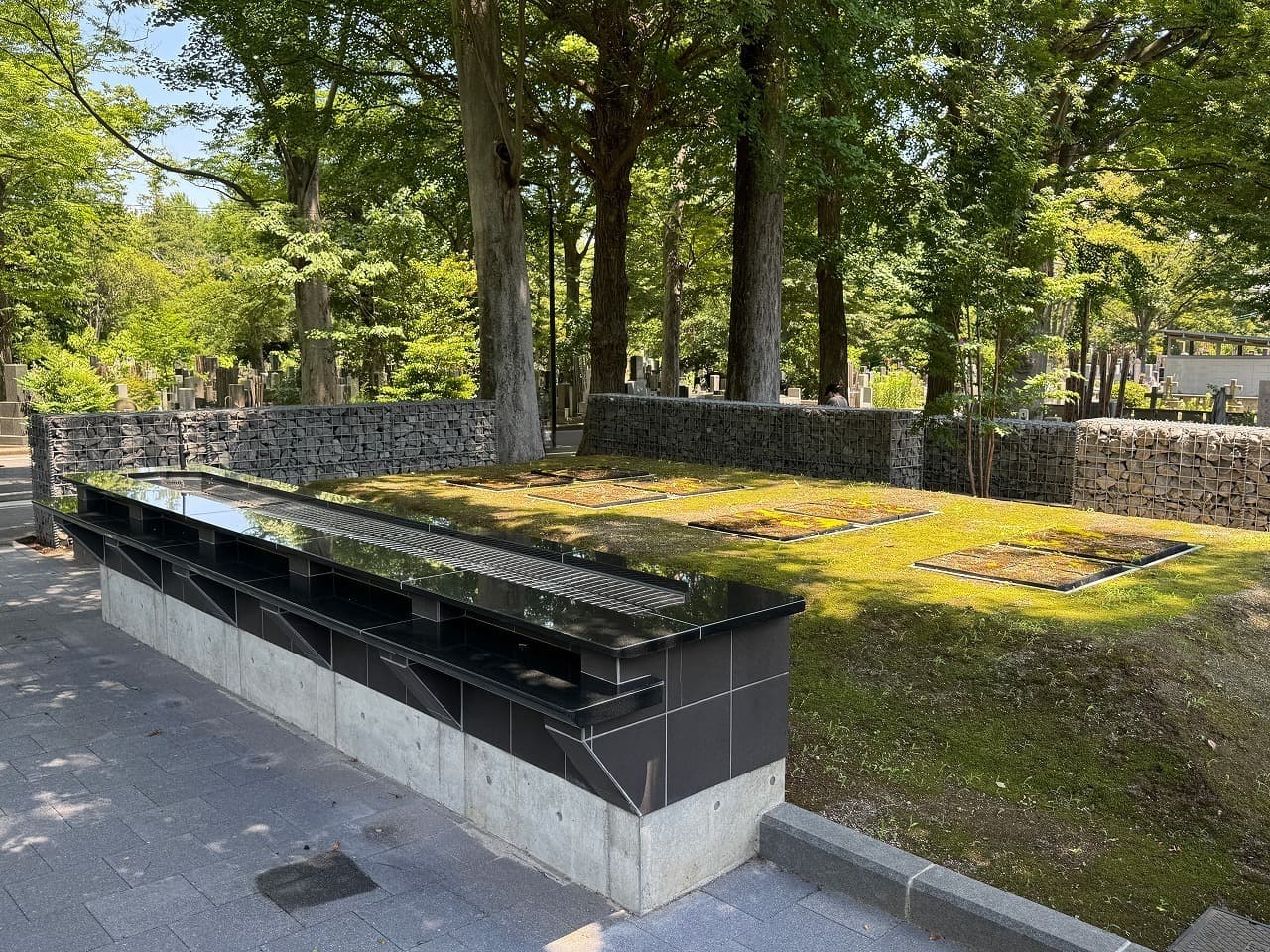 雑司ヶ谷霊園_湘南ロックガーデン