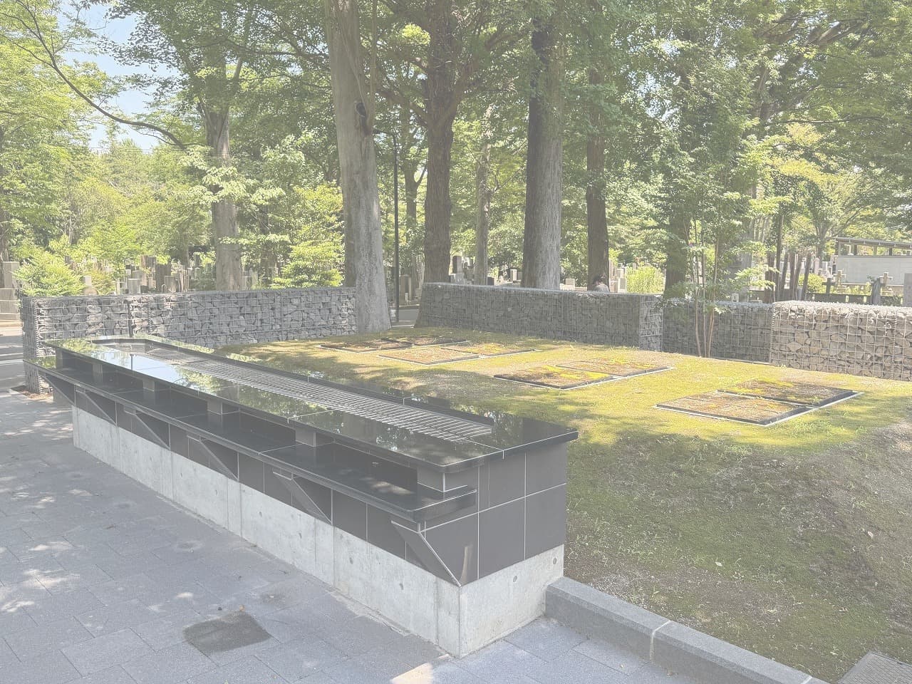 雑司ヶ谷霊園_湘南ロックガーデン