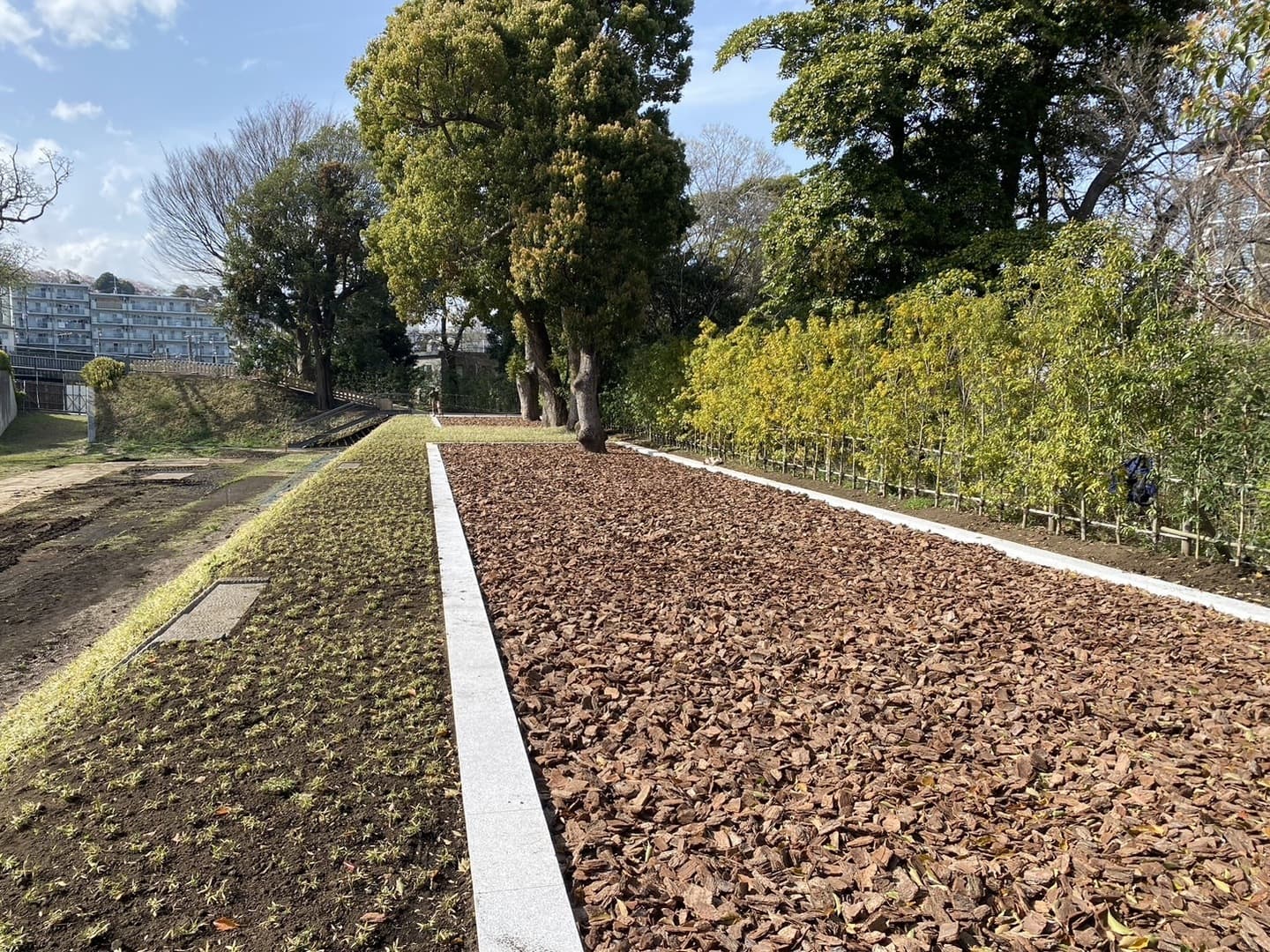 小田原城跡御用米_湘南ロックガーデン