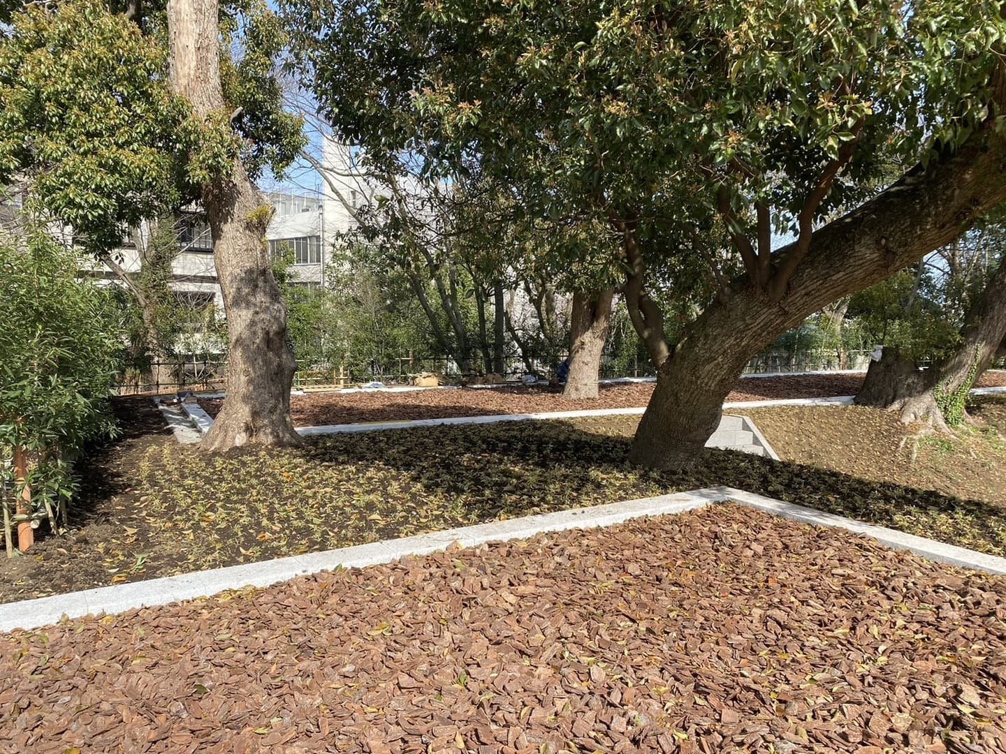 小田原城跡御用米_湘南ロックガーデン