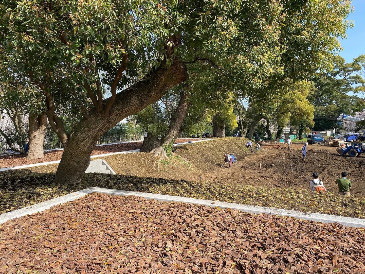 小田原城跡御用米_湘南ロックガーデン