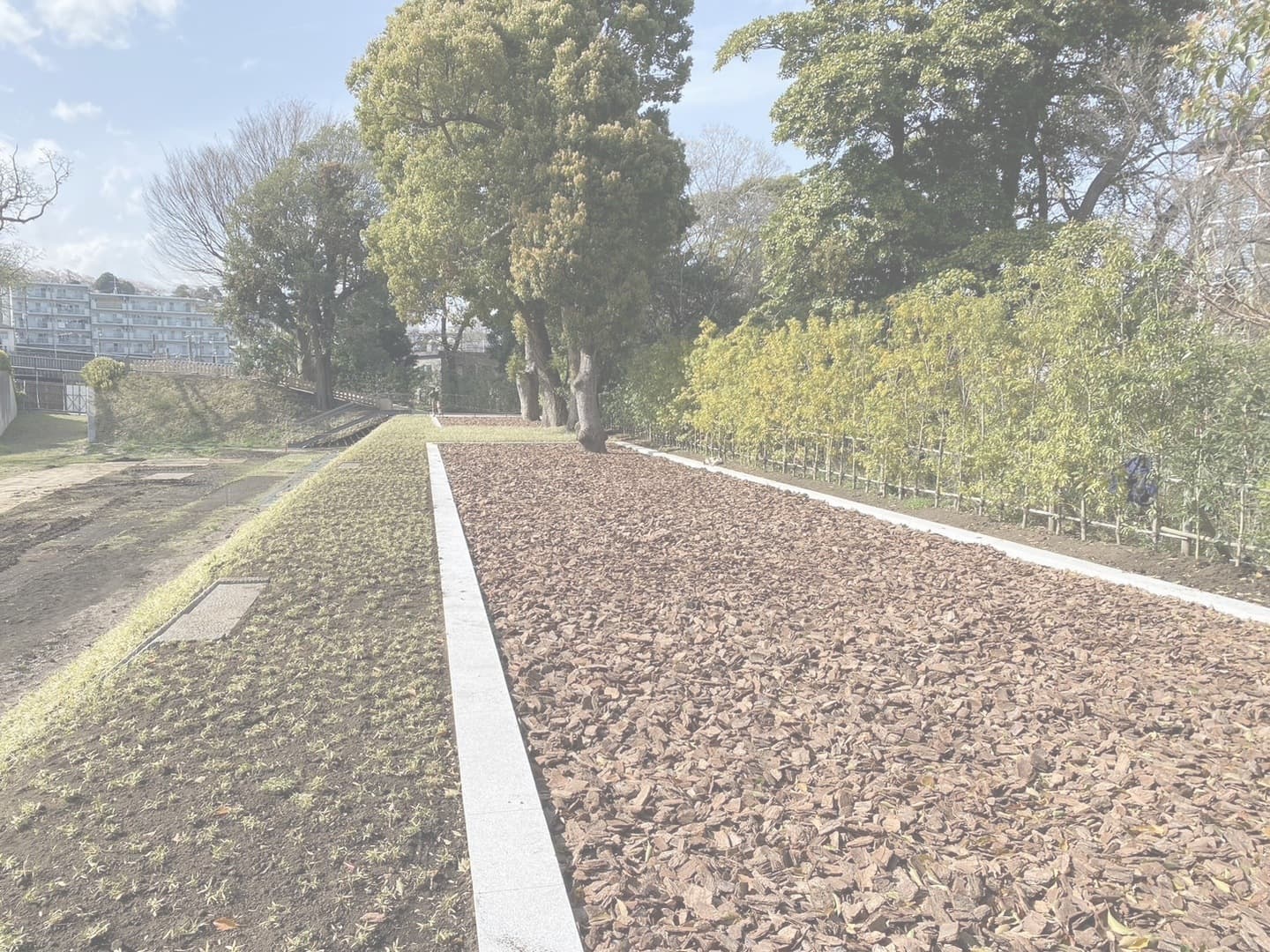 小田原城跡御用米_湘南ロックガーデン